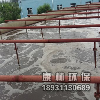 可提升管式曝氣器