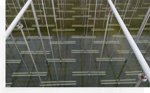 管式曝氣器的構(gòu)造說明