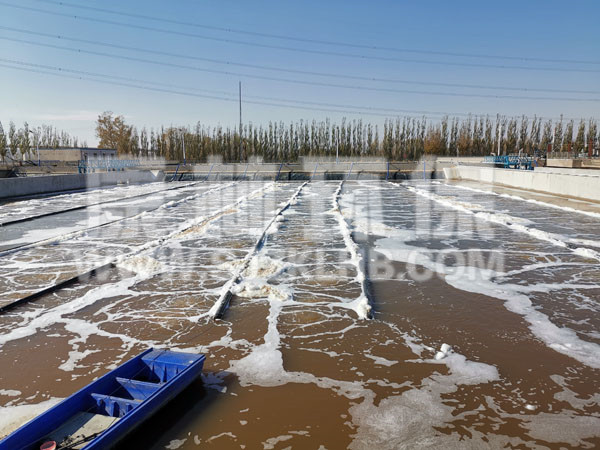 內(nèi)蒙污水處理廠懸掛鏈曝氣器安裝現(xiàn)場 內(nèi)蒙污水處理廠懸掛鏈曝氣器安裝現(xiàn)場